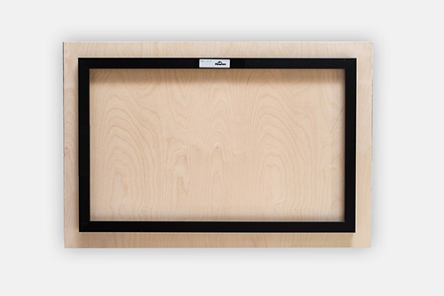 Three Eyed Raven Metal print