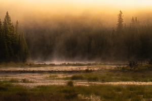 Summer morning in Algonquin Park