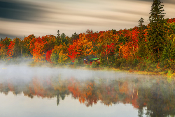 Vibrant Autumn Print