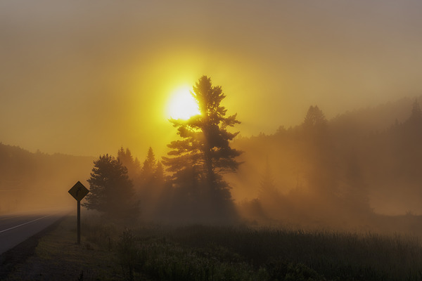 Algonquin Park Sunrise by Aman Sharma