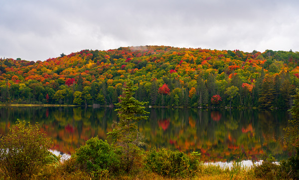 Algonquin Park in Autumn by Aman Sharma