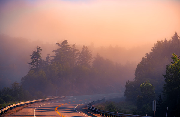 Nature at its best by Aman Sharma