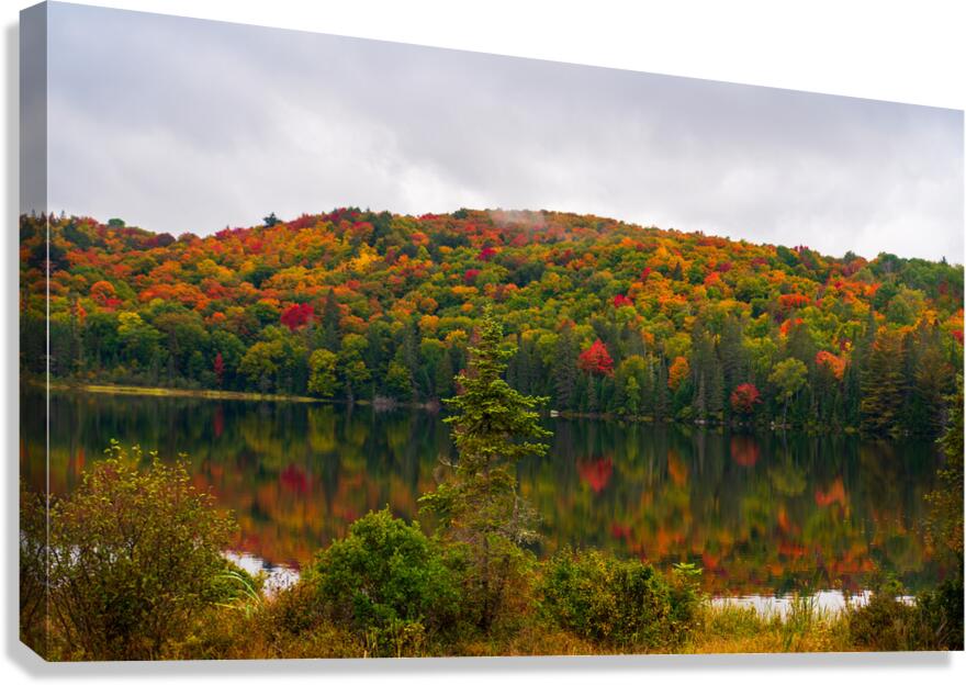 Algonquin Park in Autumn Canvas Print