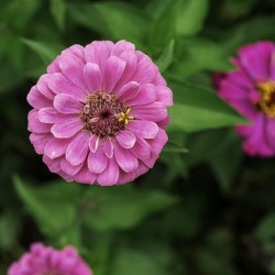 Nature’s art palette