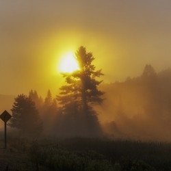 Algonquin Park Sunrise
