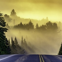 Algonquin Park Sunrise