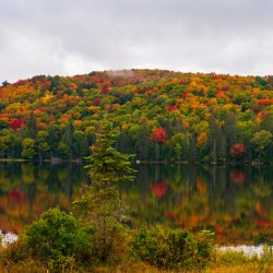 Algonquin Park in Autumn