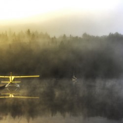 Serenity of a lake on a misty morning