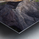 Vigilant gaze of a fox Metal print