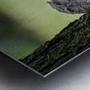 Eastern Screech Owlet Metal print