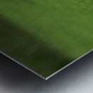 When Life Gives You Wings Hawk It Out  Metal print