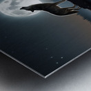 Under the moonlit sky Metal print