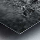 Monochrome Moose Portrait Metal print