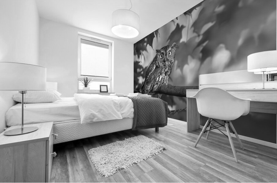 Gaze of an Owl Mural print