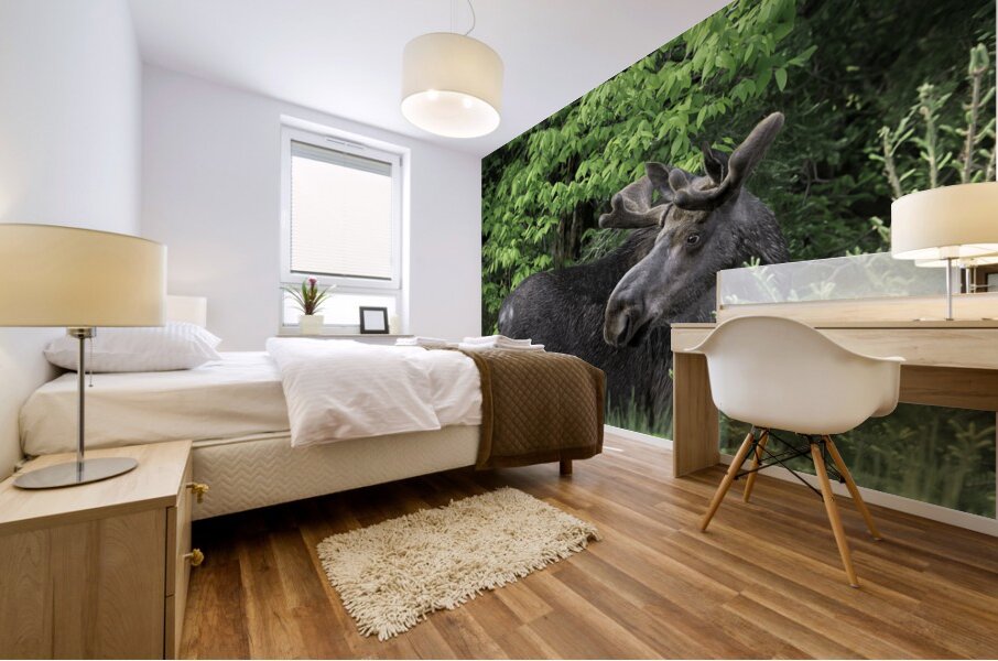 Gentle Giant Mural print