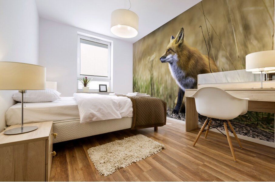 Fox portrait in morning light Mural print