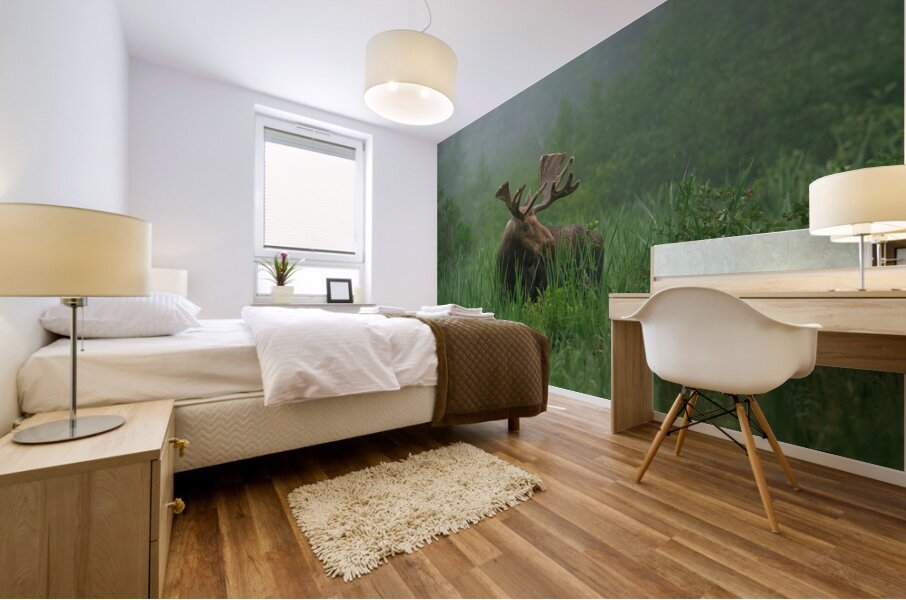 Bull Moose on a Foggy Morning Mural print