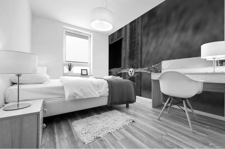 Barn Owl Mural print