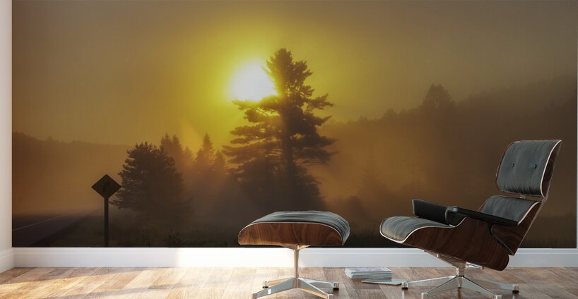 Algonquin Park Sunrise Wall Murals