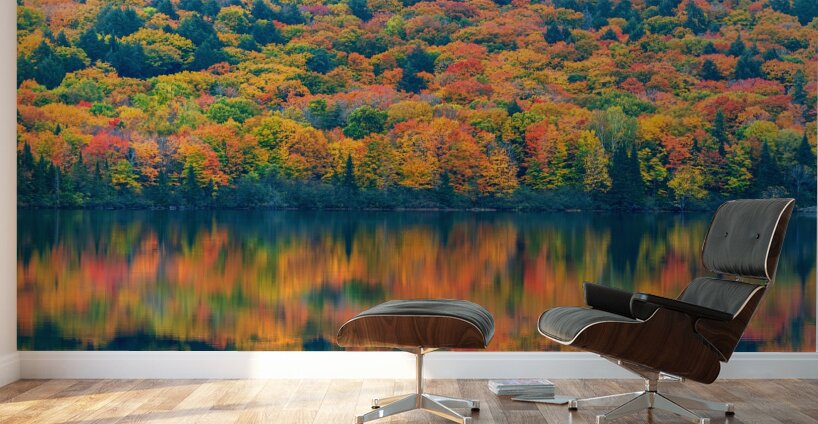 Autumns Attire Wall Murals