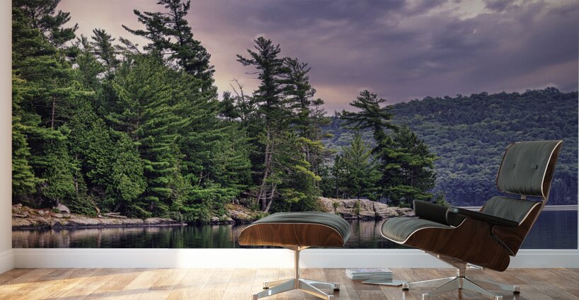 Light Before a Storm Wall Murals