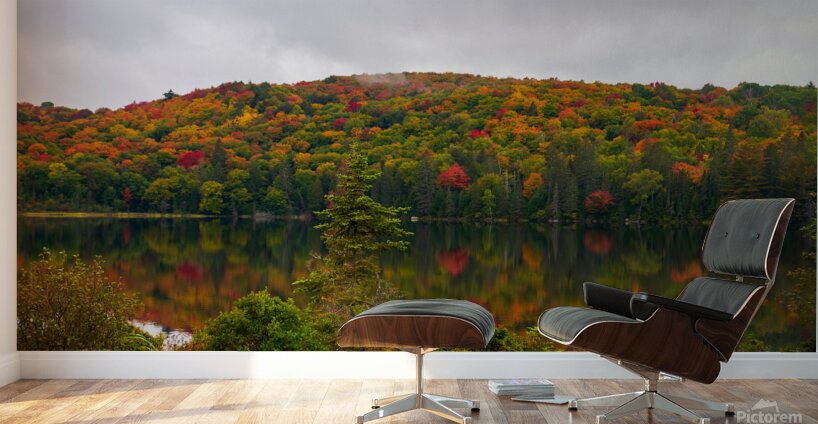 Algonquin Park in Autumn Wall Murals