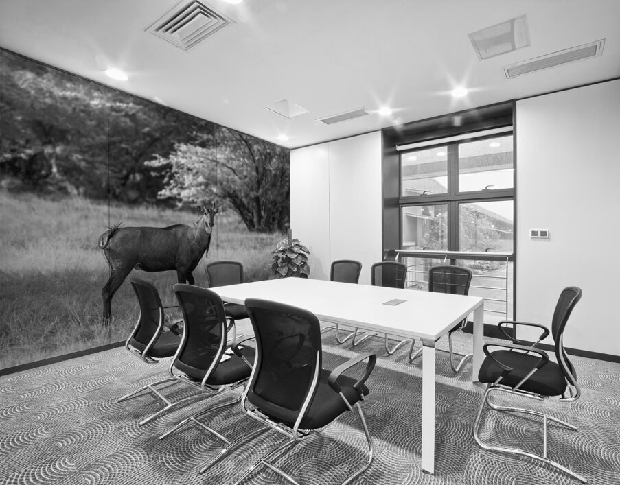 Nilgai Wall Printing