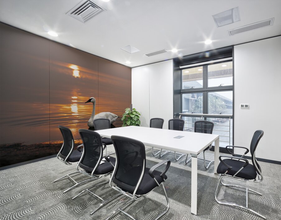 Swan on Lake Wall Printing