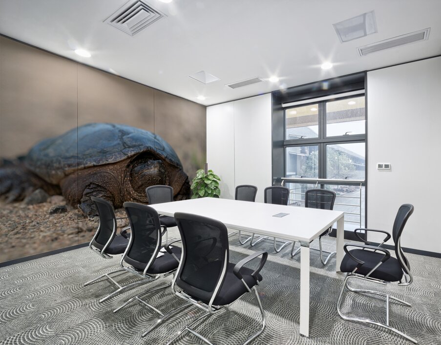 Snapping Turtle Wall Printing