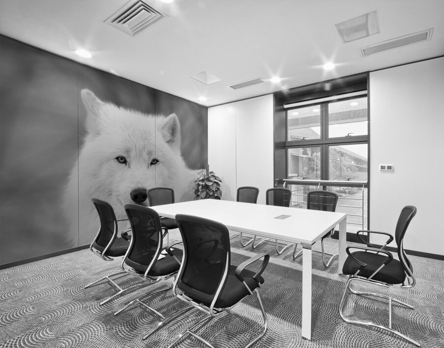 Arctic Wolf Wall Printing