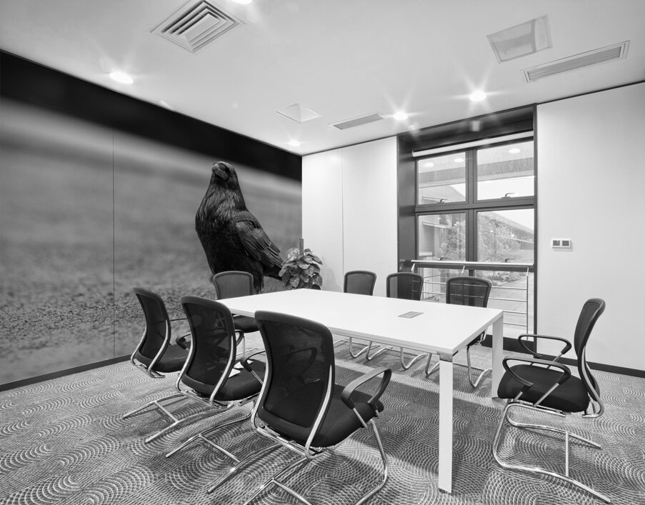 Three Eyed Raven Wall Printing