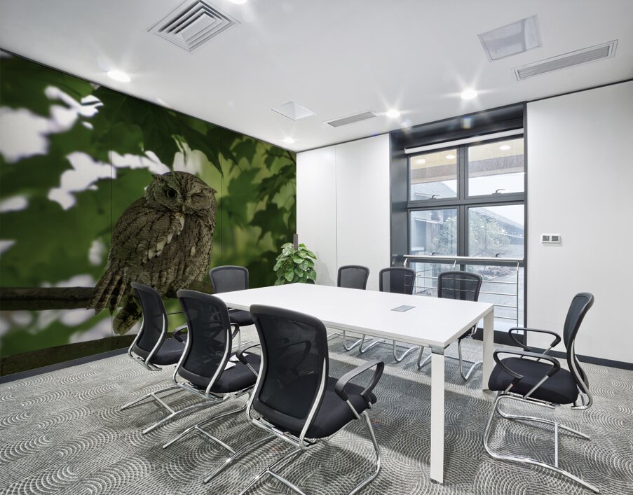 Winking Owl Wall Printing