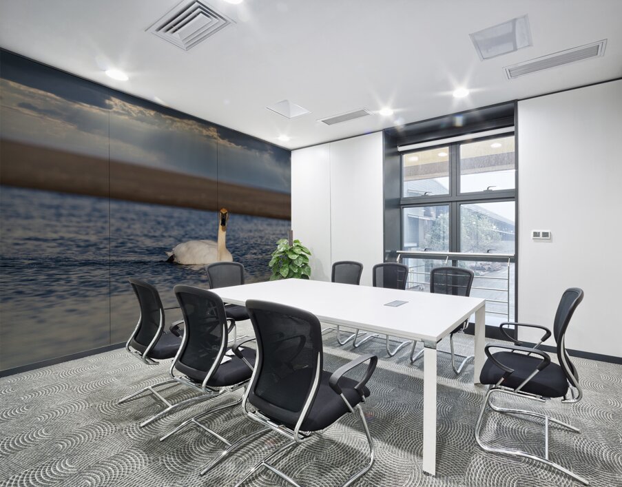 Swan on Lake Ontario Wall Printing