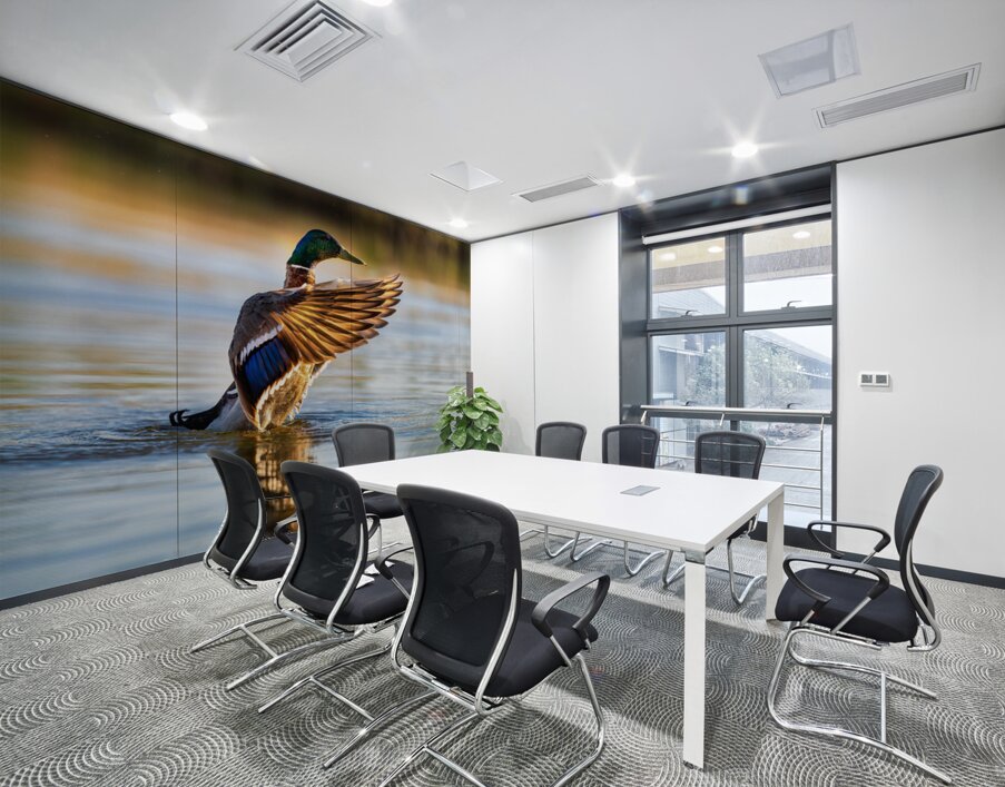 A Mallard’s Ballet. Wall Printing