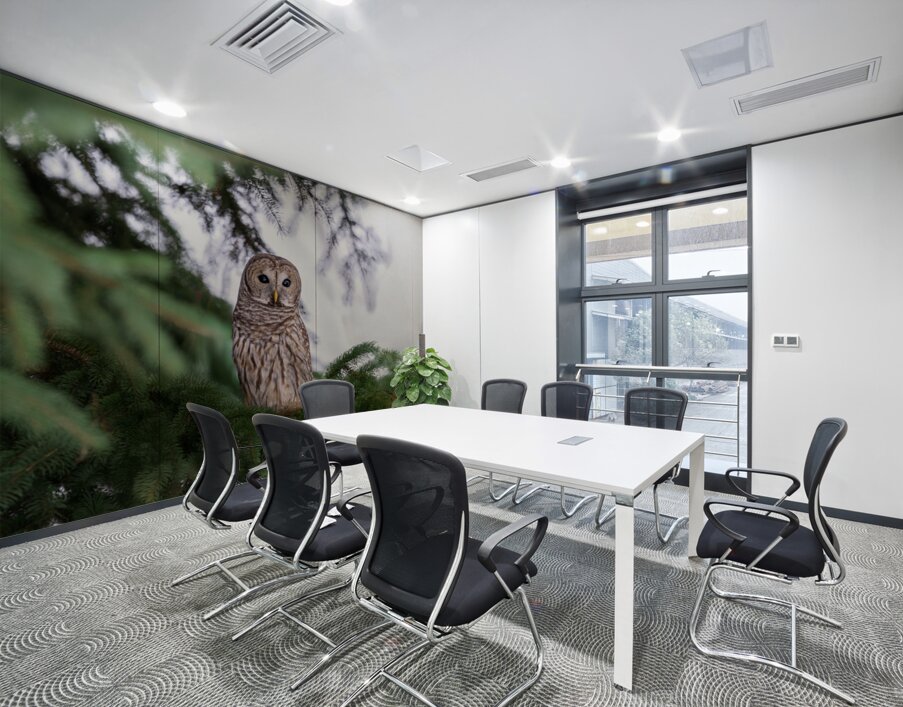 Barred Owl Wall Printing