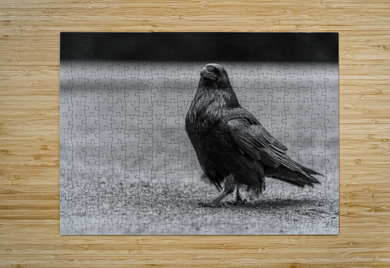 Three Eyed Raven Aman Sharma Puzzle printing