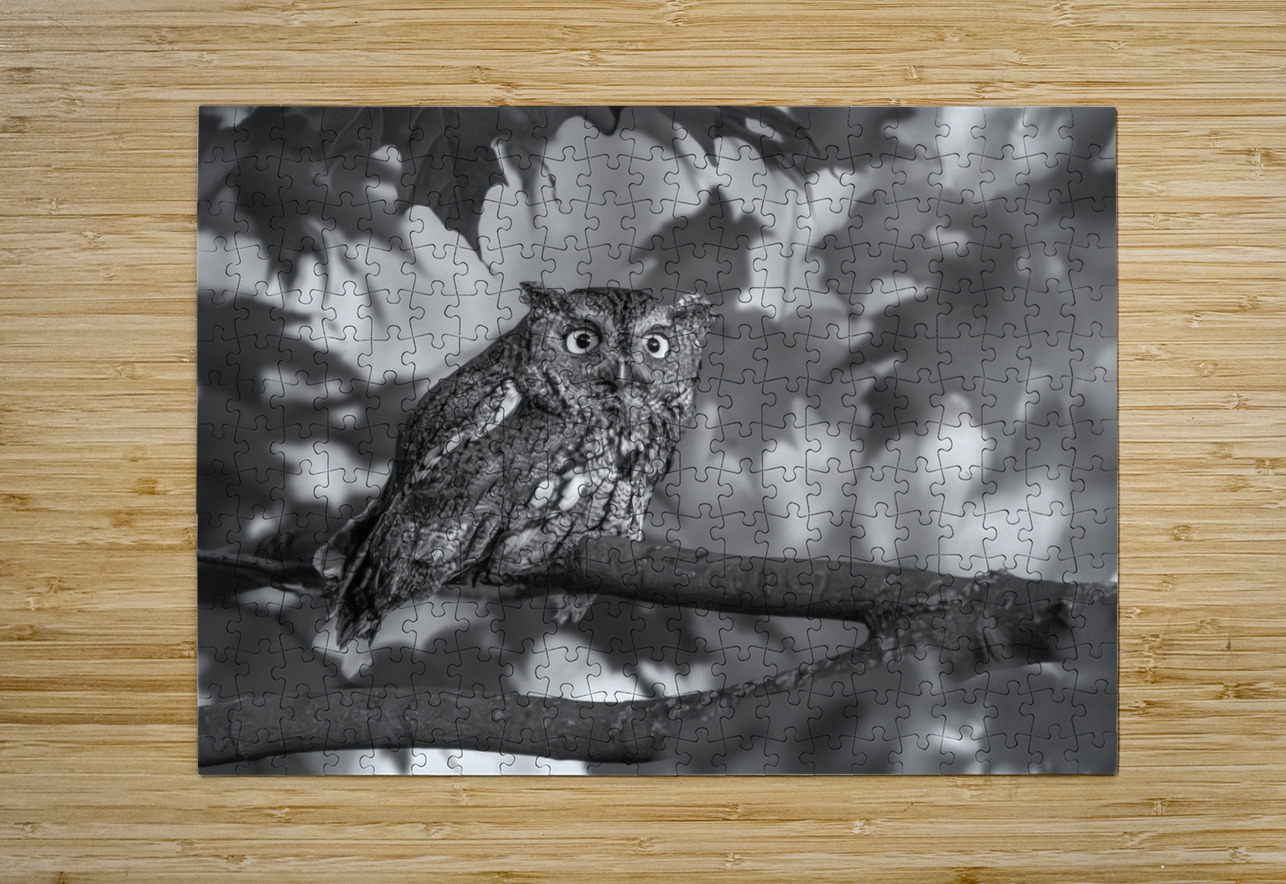 Gaze of an Owl Aman Sharma Puzzle printing