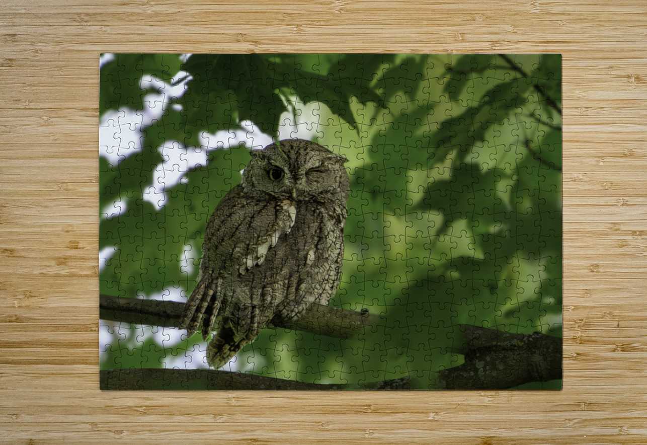 Winking Owl Aman Sharma Puzzle printing