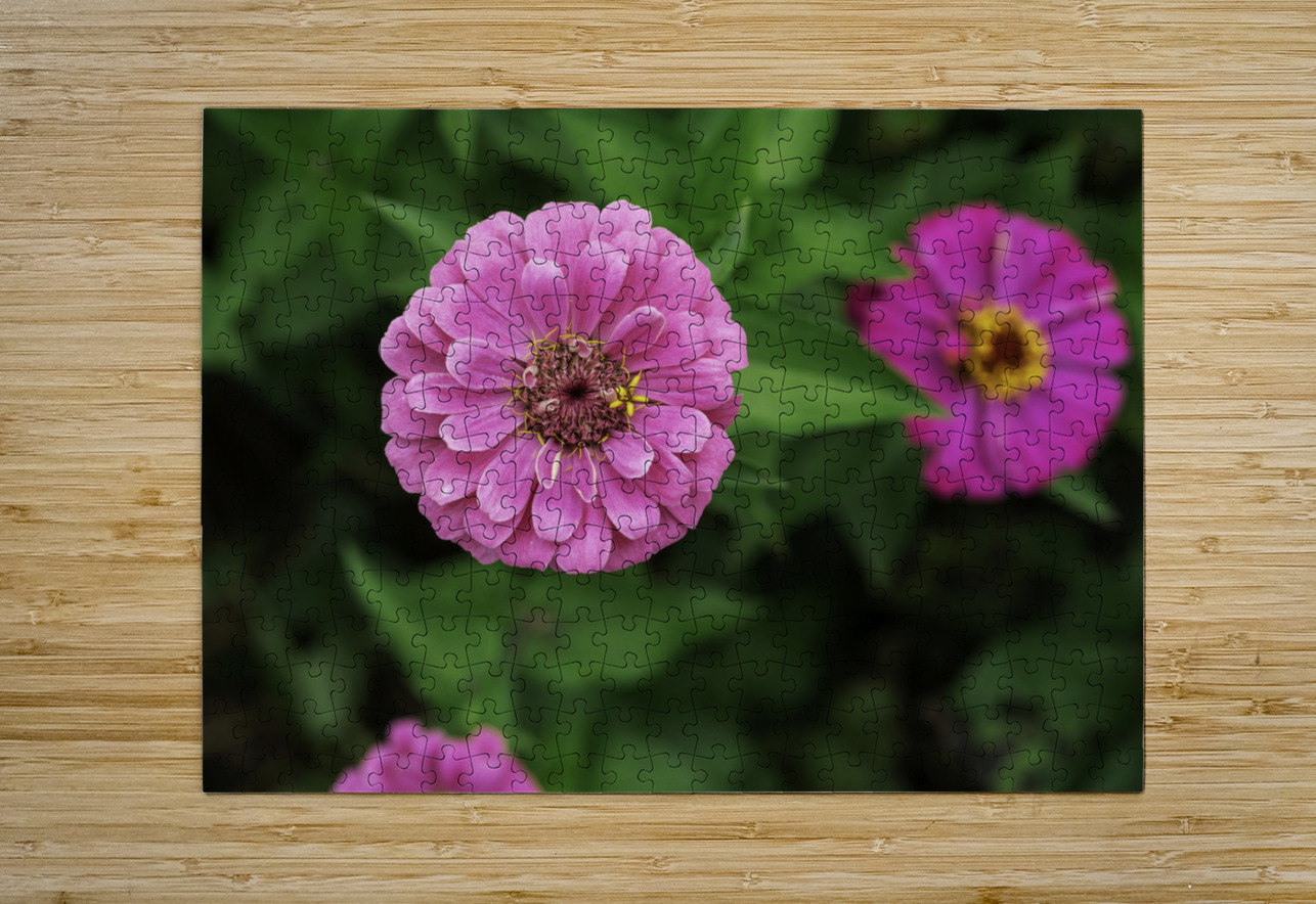Nature’s art palette Aman Sharma Puzzle printing