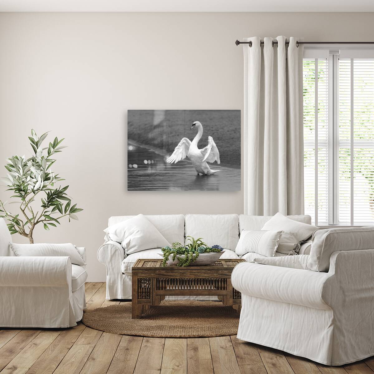 Swan in full glory Reproduction