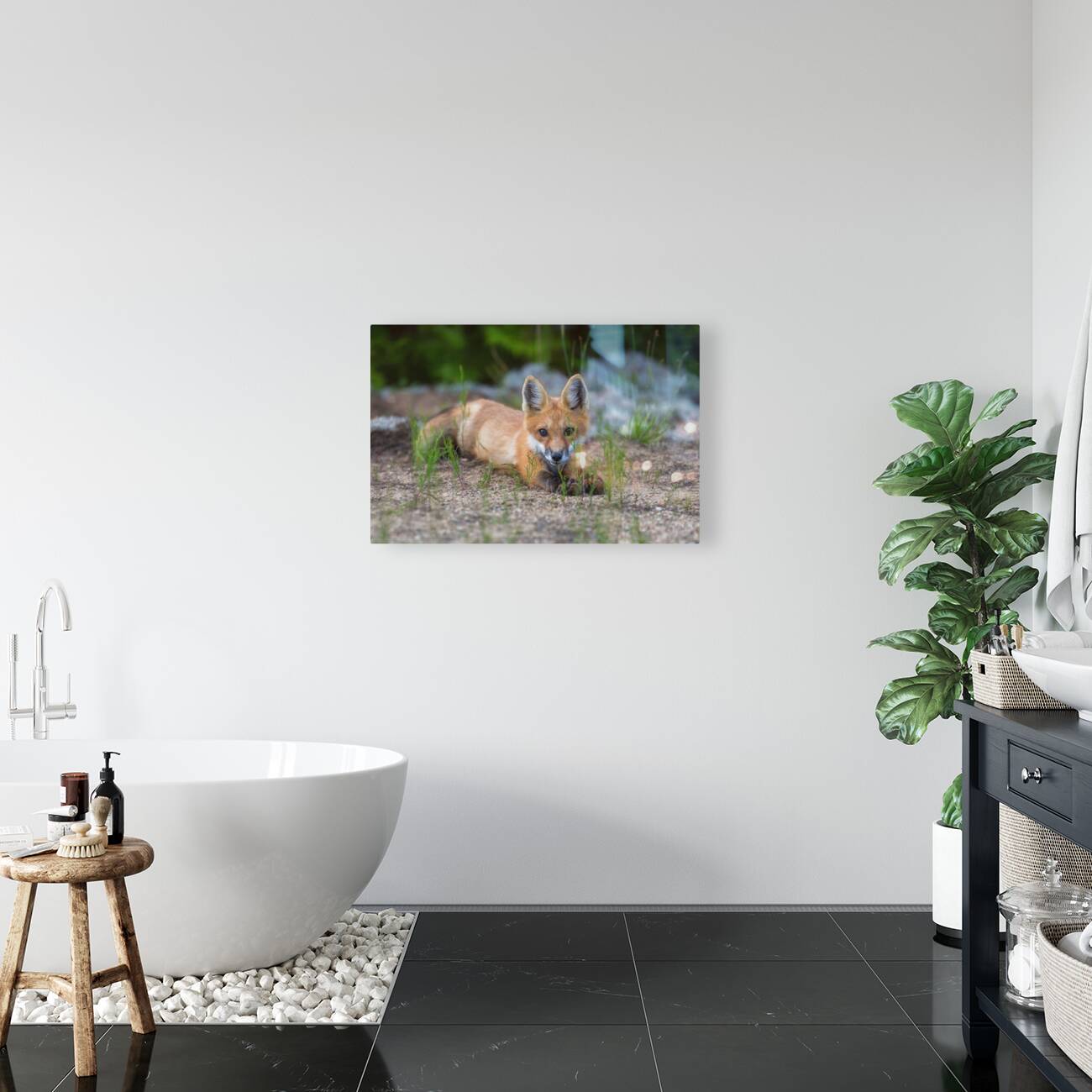 Memerizing Gaze of a Fox Kit Reproduction