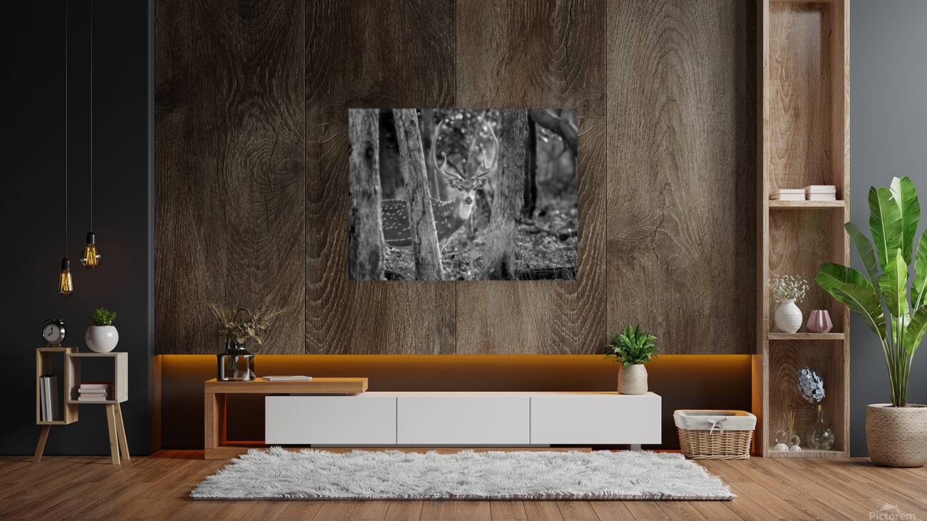 The Big Spotted Deer Reproduction